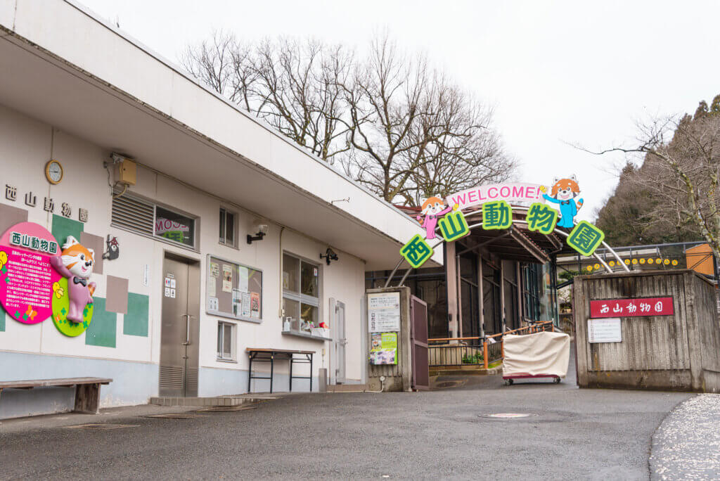 鯖江市西山動物園レッサーパンダ