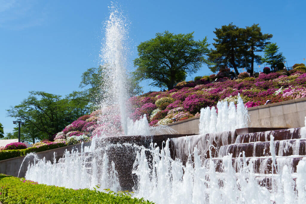 西山公園さばえつつじまつり